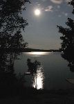 Moonlight BBQ
