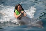 Swim with Dolphins