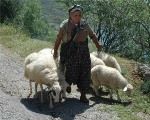 Village Tour