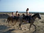 Horseback Riding