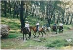 Horse Riding