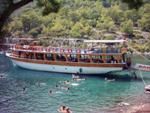 Cruise The Blues