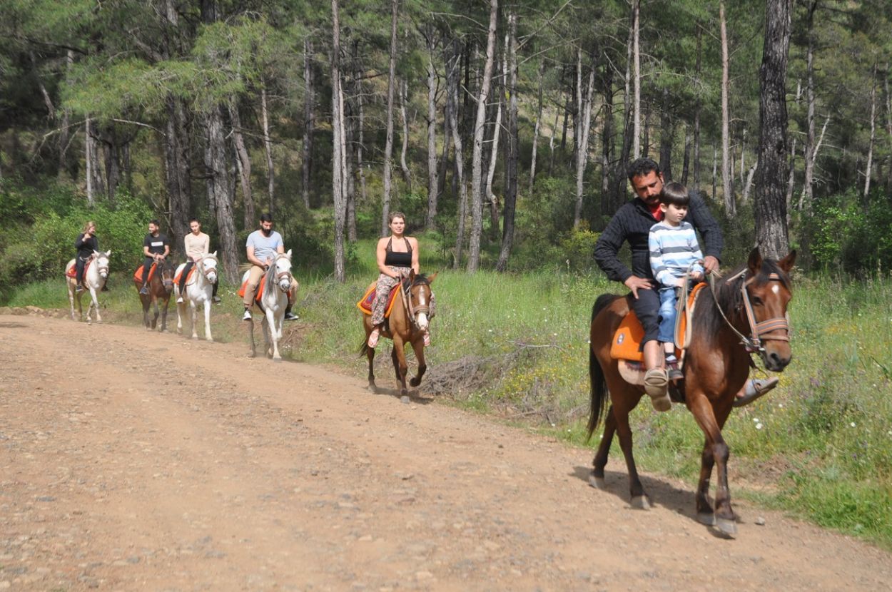 Horse Riding in Marmaris Forest