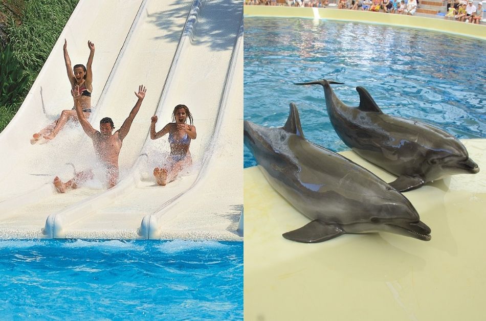 Aquapark and Dolphin Show with Hotel Transfers,Lunch and Soft Drinks