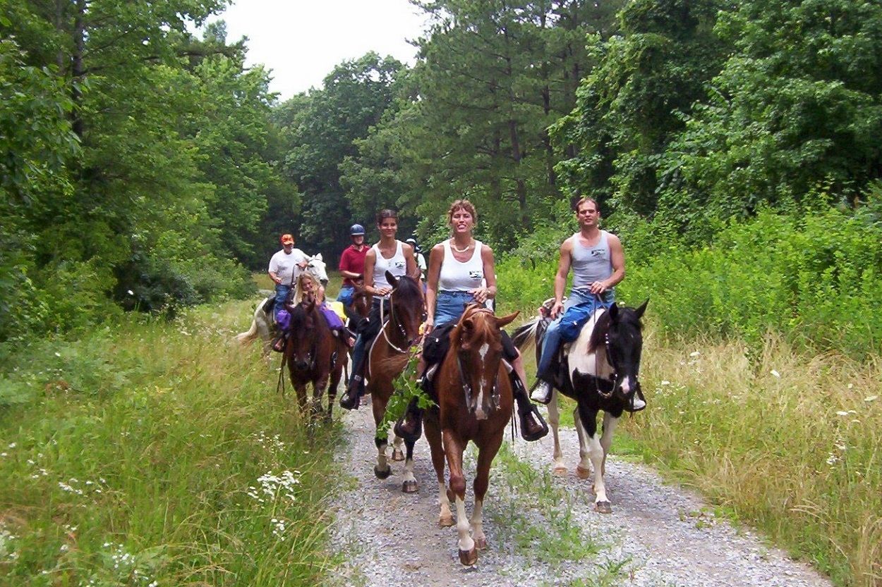 Horse Riding in Bodrum Forest
