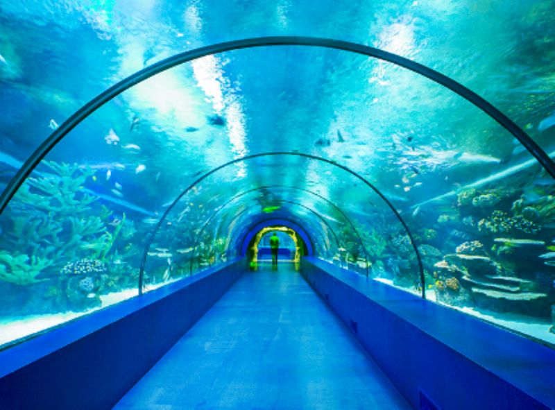 Antalya Aquarium Mega Package Ticket with Hotel Transfers