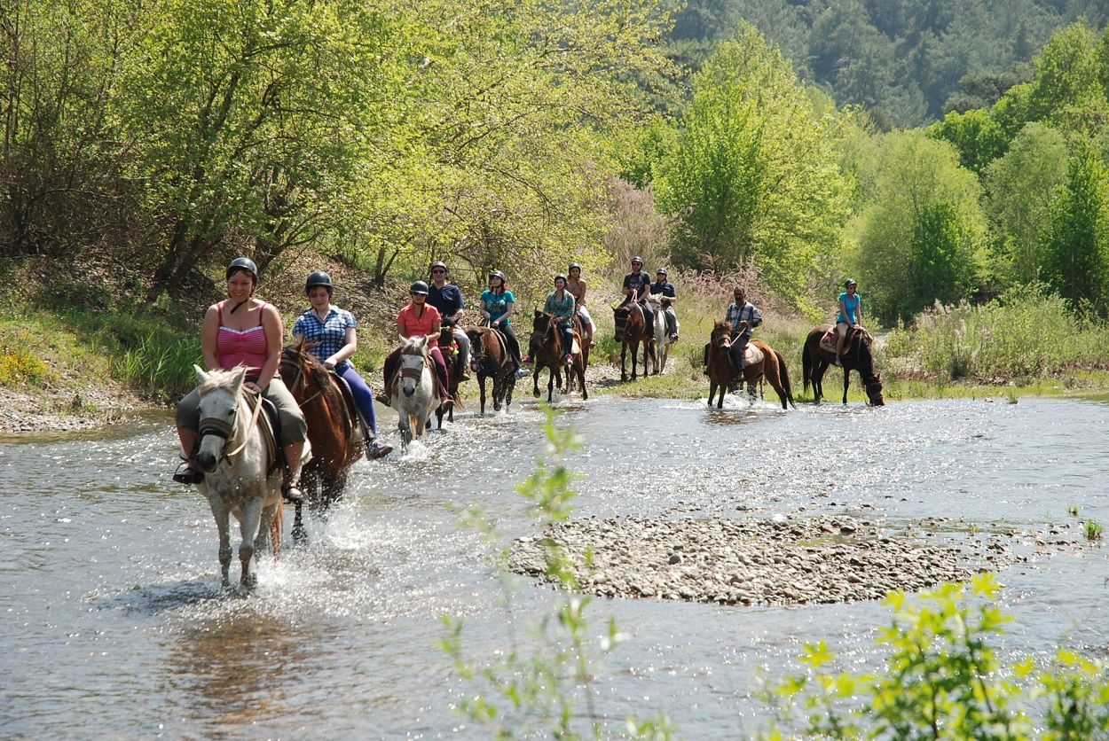 Horse Riding around Titreyengol and Sorgun Pine Forest