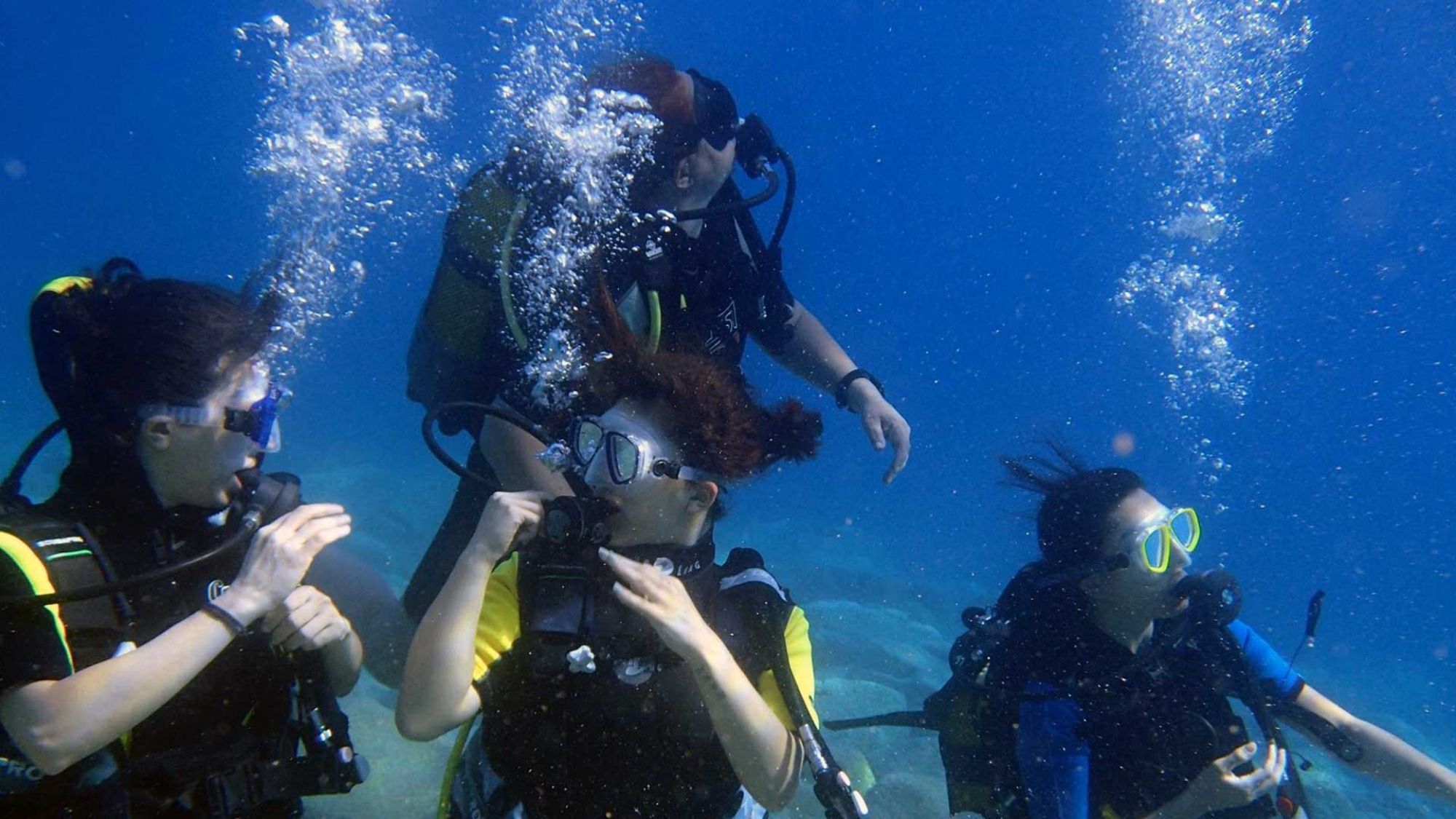 scuba diving experience tours