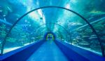 Antalya Aquarium Mega Package Ticket with Hotel Transfers