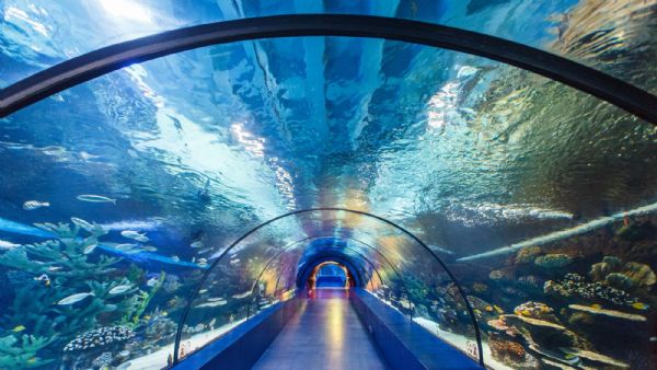 Antalya Aquarium - Face2Face Ticket with Hotel Transfers