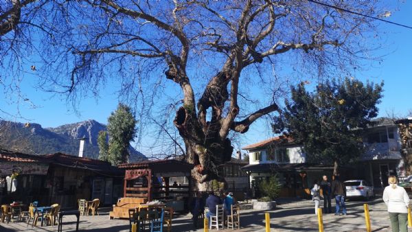 Bayir and Turgut Village Trip from Marmaris