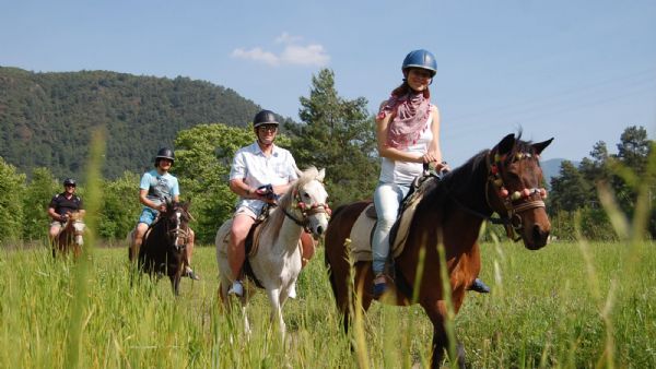 Horse Riding in Bodrum Forest