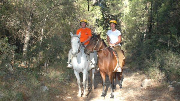 Horse Riding in Bodrum Forest