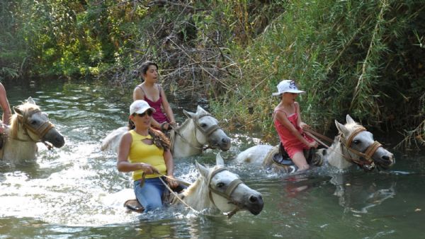 Horse Riding in Bodrum Forest