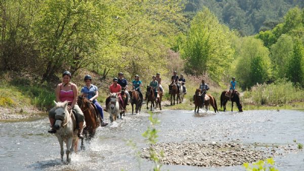 Horse Riding in Marmaris Forest