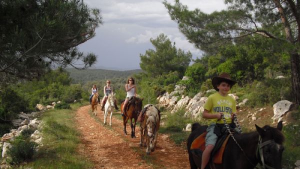 Horse Riding in Marmaris Forest