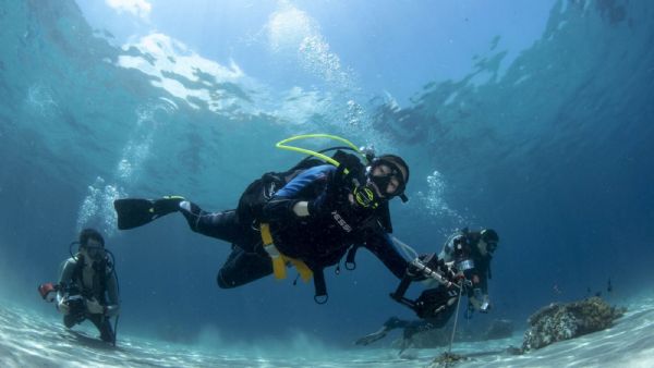 Scuba Diving Experience in Bodrum Bays