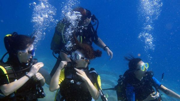 Scuba Diving Experience in Bodrum Bays